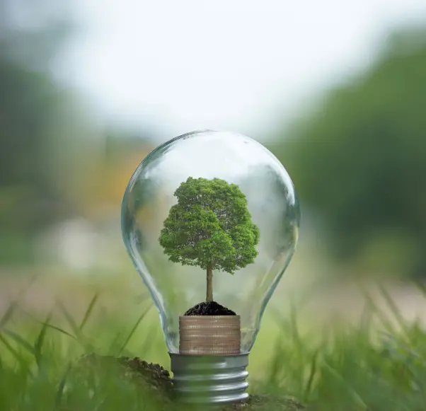 Featured image for How to Choose Eco-Friendly Lighting Solutions